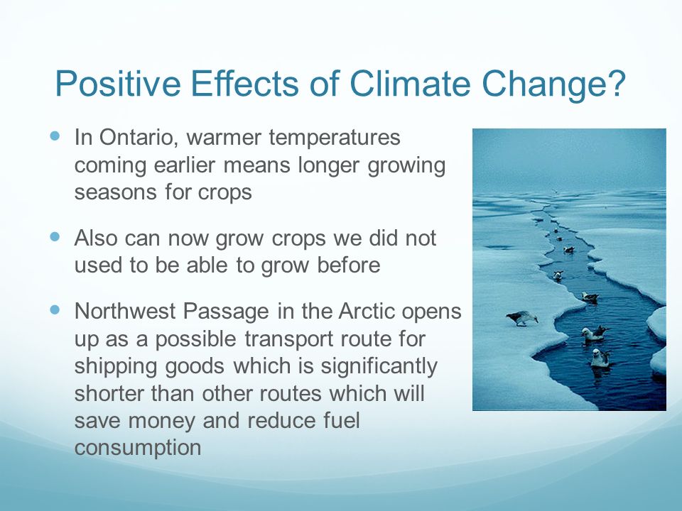 Effects of climate change to the